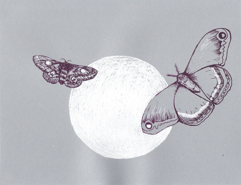 Moon Moths