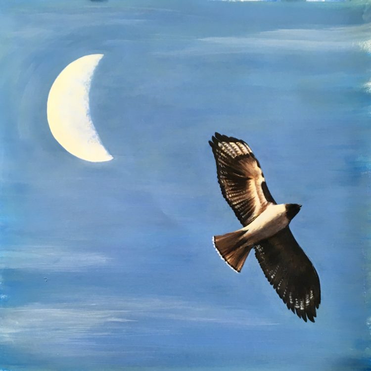 Evening Moon Hawk